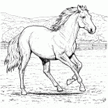 Pferd auf einem Bauernhof