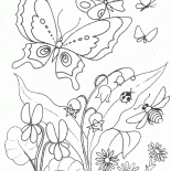 Lilien blühen