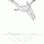 Pteranodon