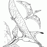 Pteranodon und eine pterodactyl