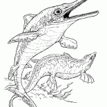Ichthyosaur und plesiosaur