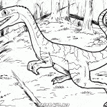 Coelophysis bauri