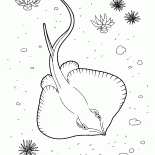 Scat Jagd