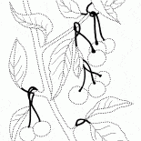 Wilde Kirschen