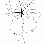 Süße Frucht am Baum