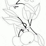 Apfelbaumzweig