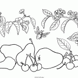 Birne und Kirsche