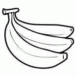 Ölpalmfrucht