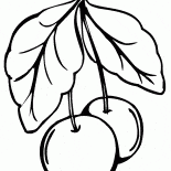 Süße Kirsche