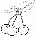 Kirschen