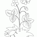 Wilde Erdbeeren