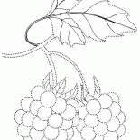 Handwerks-Beeren