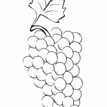 Bündel Trauben