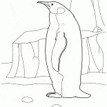 Pinguin in der Arktis
