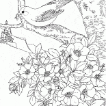 Östlichen Distelfink