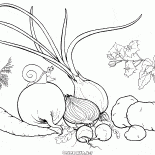 Gemüse aus dem Garten