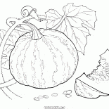 Kürbis auf die Stadt