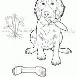 Setter