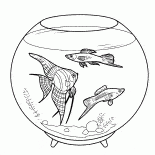 Aquarienfische