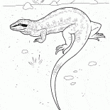 Eidechse auf der Jagd