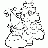 Gut-Bär und Weihnachtsbaum