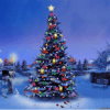 Weihnachtsbäume