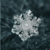 Schneeflocken